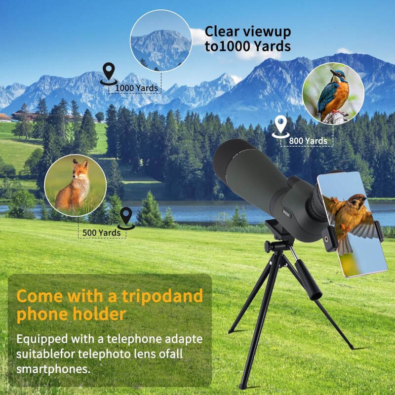 25-75×80 HD Spotting Scope with Tripod Carrying Pouch and Quick Cell Phone Holder, Clear Image with BAK4 Prism Spotting Scopes for Target Shooting, Bird Watching, Hunting, Wildlife Viewing（Green）