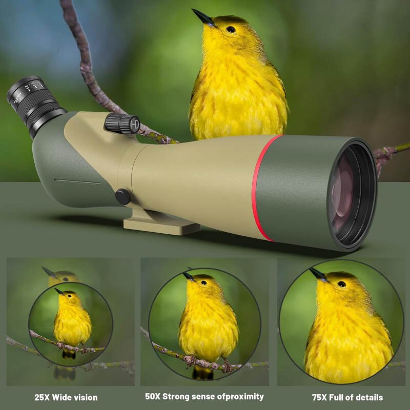 WOSPORTS 25-75×85 Spotting Scopes for Birdwatching, Spotter Scope with Tripod, Carrying Bag, Phone Adapter, BAK4 HD Multi-Coated Optics, Adjustable Eyecup, FMC Lens, Moon Viewing, Wildlife Viewing