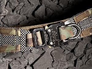 THE BISON BELT