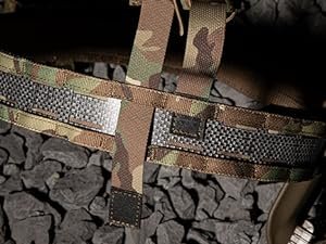 THE BISON BELT